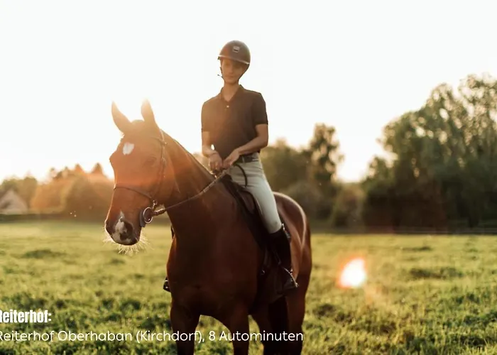 Hotel Crystal - Kitzhorn 4*