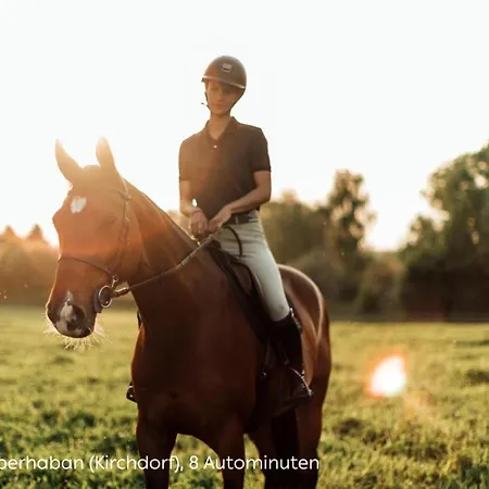 Hotel Crystal - Kitzhorn 4*